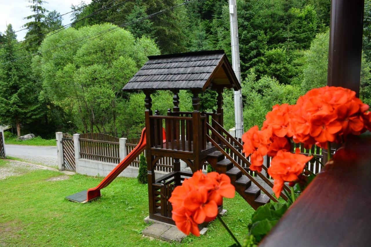 Hotel Cabana Cascada Cailor Borşa Exteriér fotografie