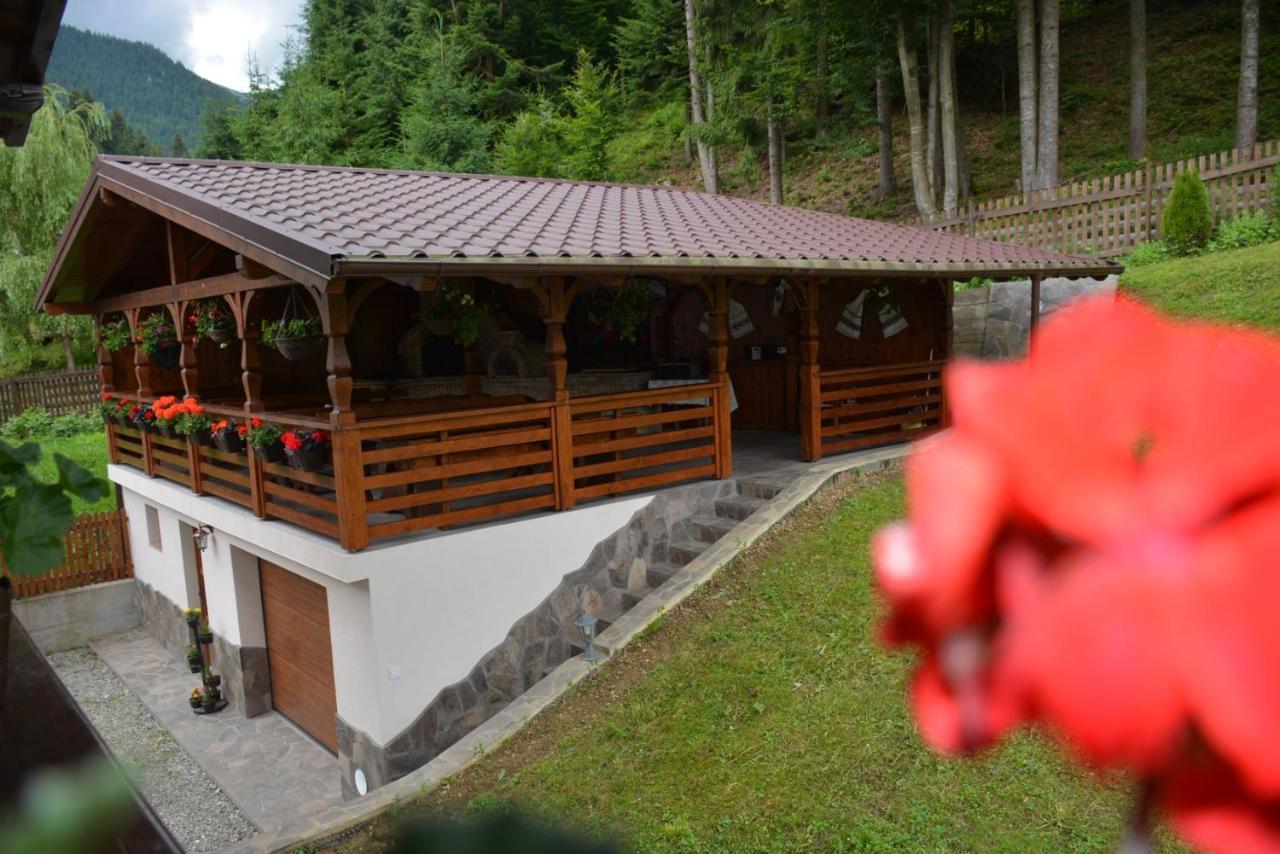 Hotel Cabana Cascada Cailor Borşa Exteriér fotografie