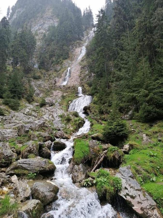 Hotel Cabana Cascada Cailor Borşa Exteriér fotografie