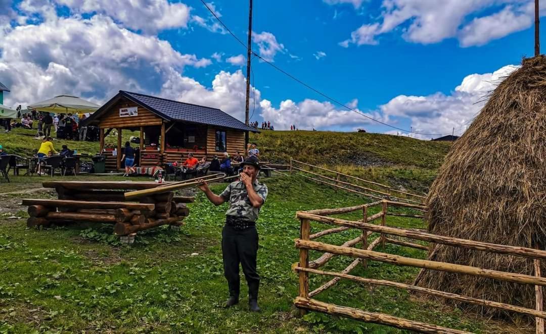 Hotel Cabana Cascada Cailor Borşa Exteriér fotografie