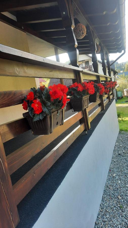 Hotel Cabana Cascada Cailor Borşa Exteriér fotografie